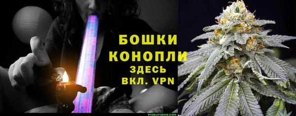молекула духа Аркадак