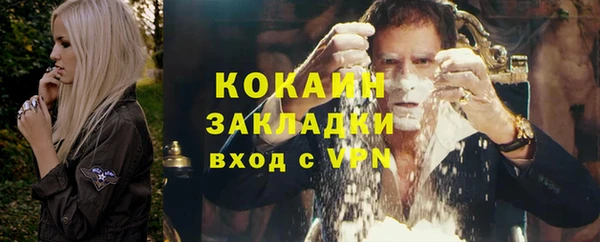 стаф Осинники