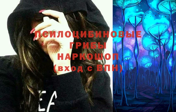 винт Осташков