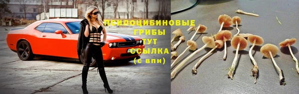 гашиш Арсеньев