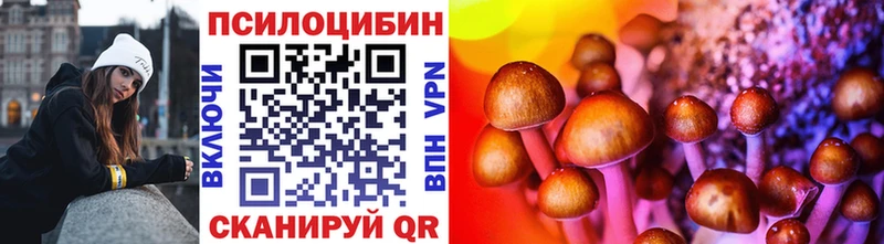 Галлюциногенные грибы Psilocybine cubensis  Сорочинск 